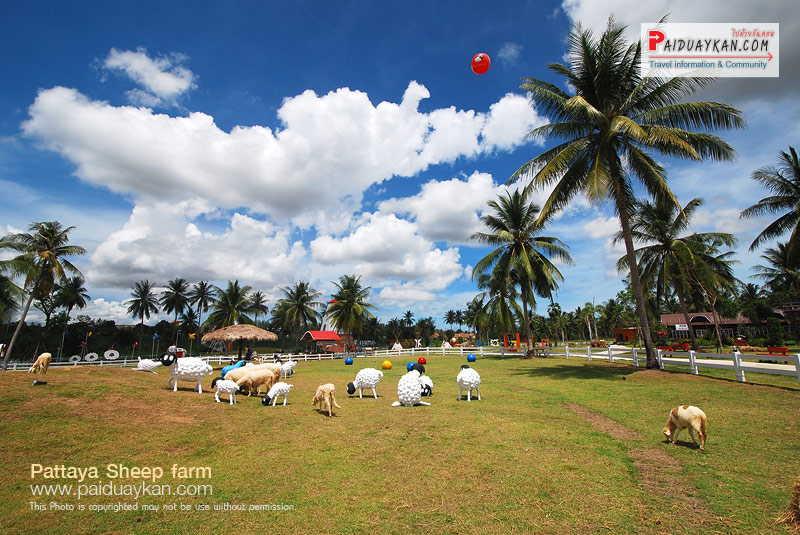 DSC_6022 - ไปด้วยกัน ข้อมูลท่องเที่ยว คาเฟ่ ร้านอาหาร ที่พัก