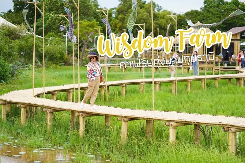 Wisdom farm ปทุมธานี