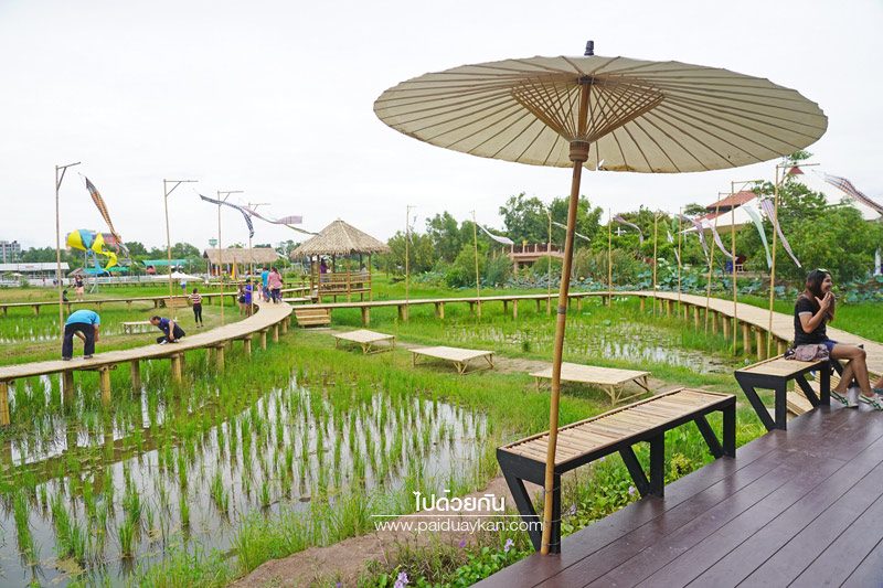 Wisdom farm ปทุมธานี