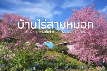 บ้านไร่สายหมอก