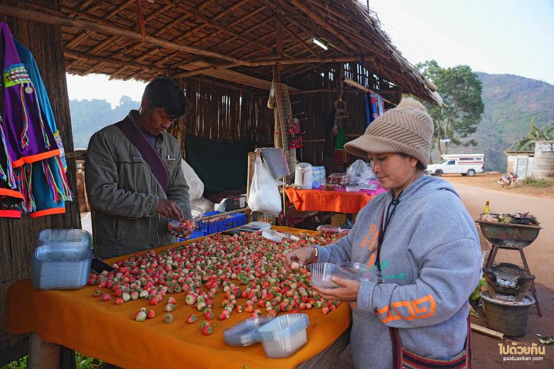 ไร่สตรอว์เบอร์รี่บ้านนอแล 