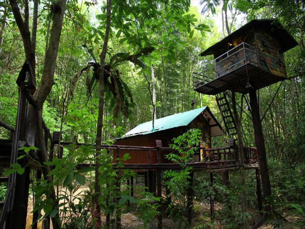 khaosok-treehouse-resort1