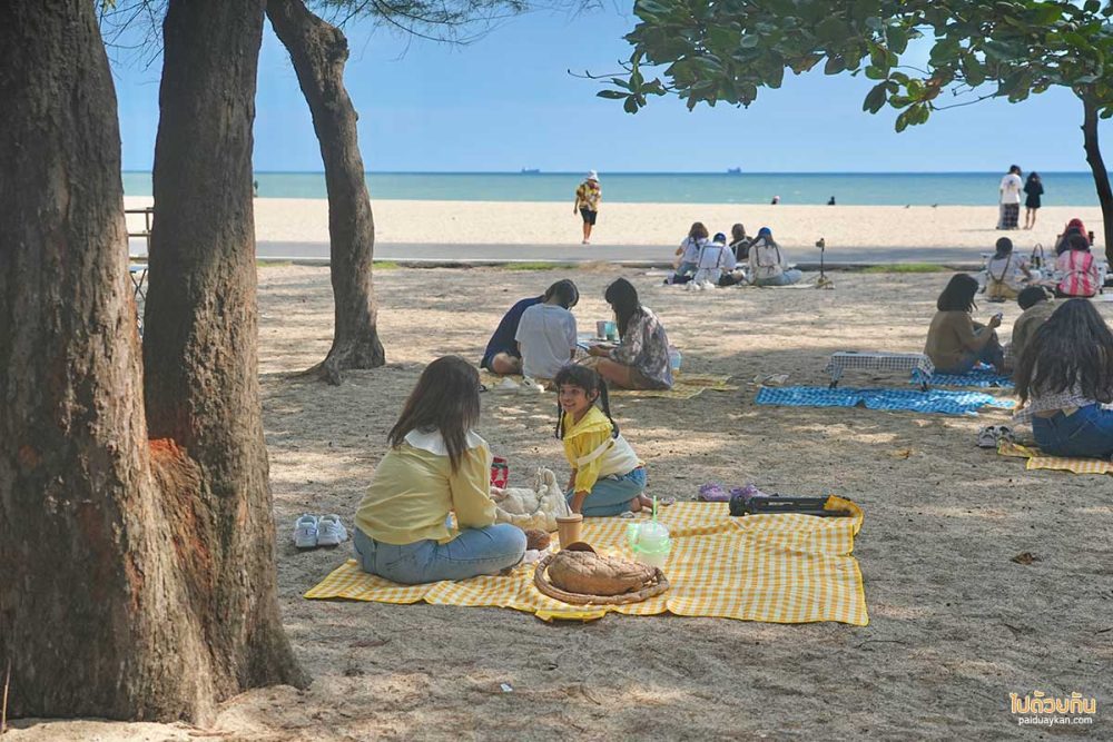 ตลาดริมชายหาดแหลมเจริญ