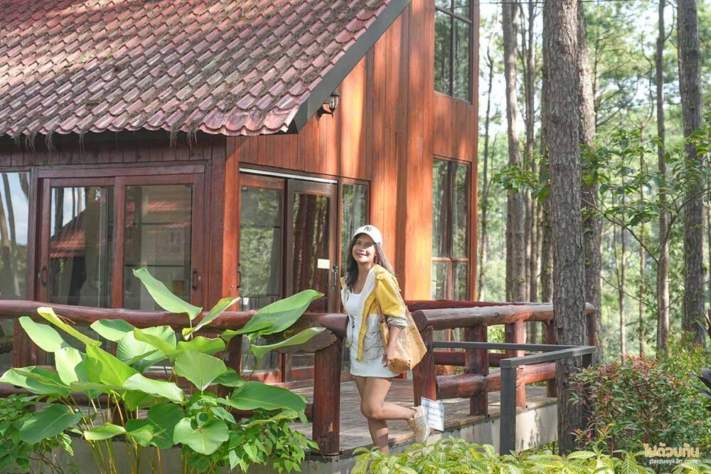 สวนป่าดอยบ่อหลวง
