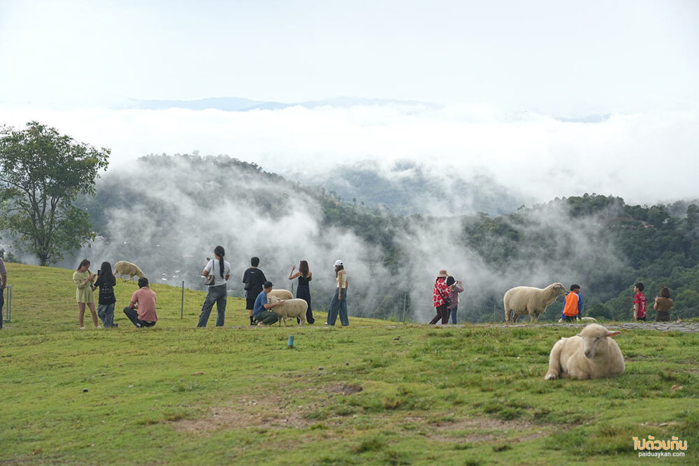 Akha Farmville