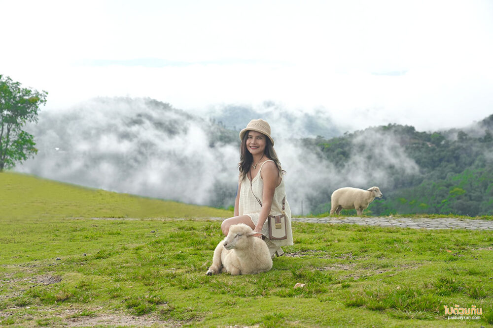  Akha Farmville 