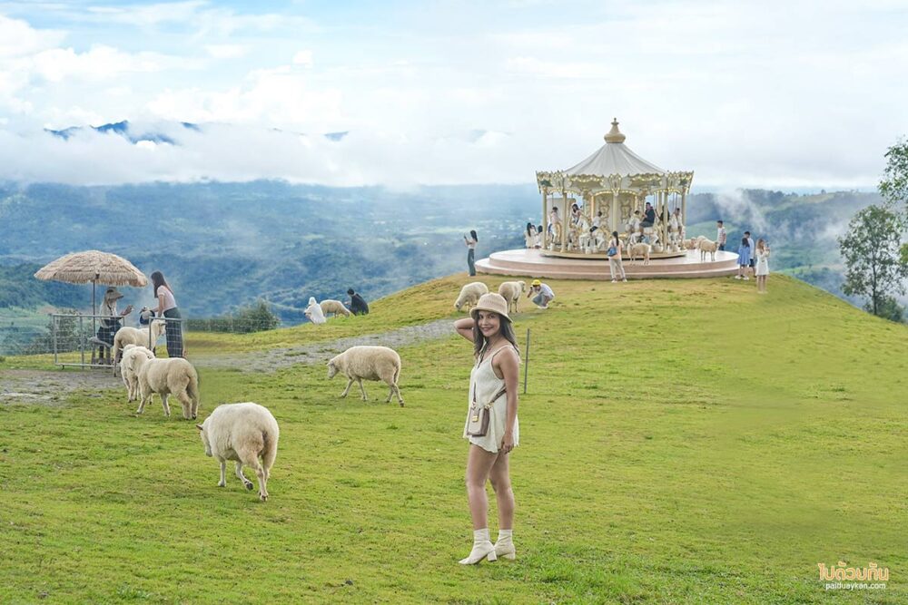 Akha FarmVille ฟาร์มแกะดอยช้าง 