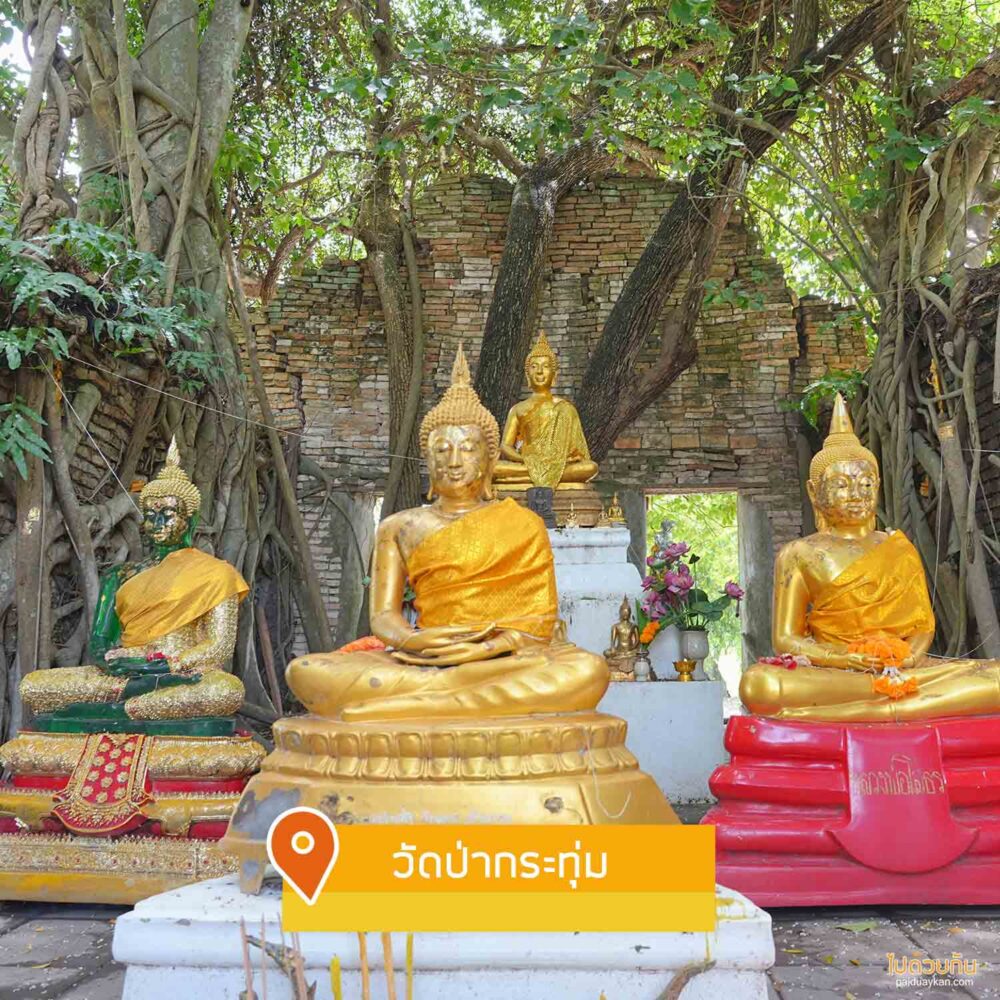 วัดป่ากระทุ่ม 