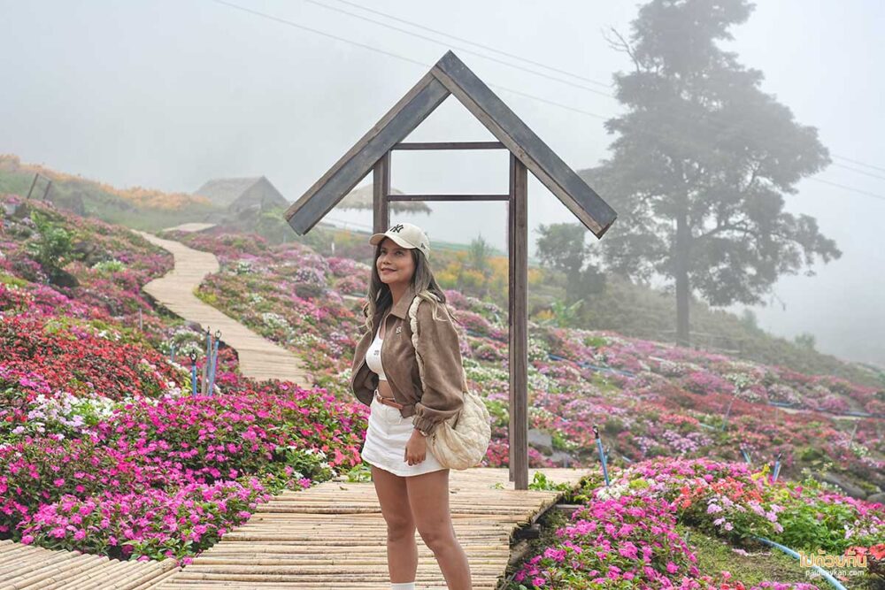 สวนดอกไม้มนต์เสน่ห์ภูทับเบิก