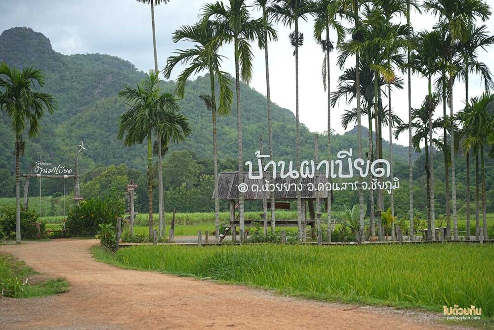 ทิวหมาก บ้านผาเบียด