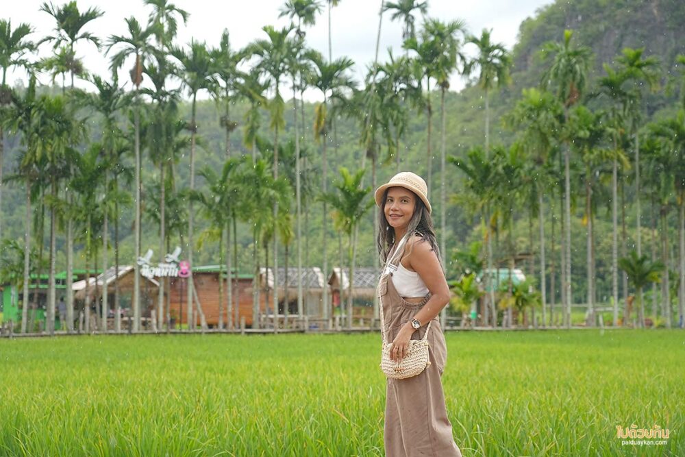 ทิวหมาก บ้านผาเบียด