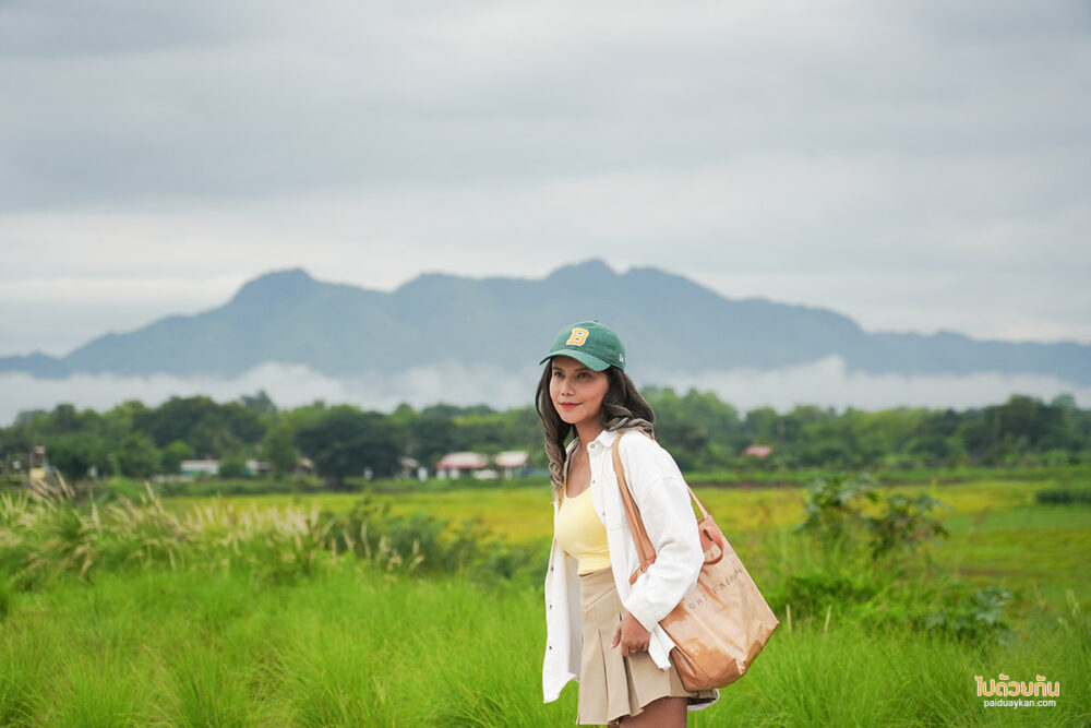 จุดชมวิวหนองสมอ