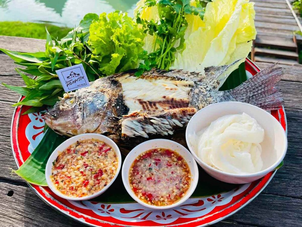 บ้านนอกคอกควาย
