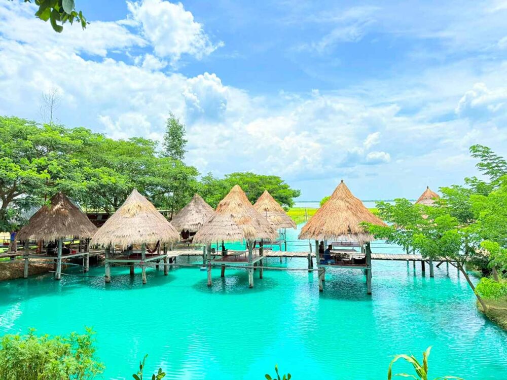 บ้านนอกคอกควาย